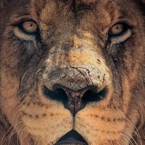 Meet your Posher, Shawn